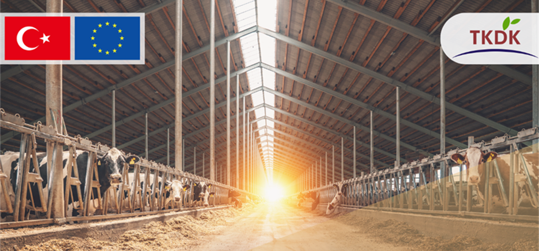 IPARD-III KAPSAMINDA 214 PROJEYE 1,7 MİLYAR LİRA HİBE VERİLECEK