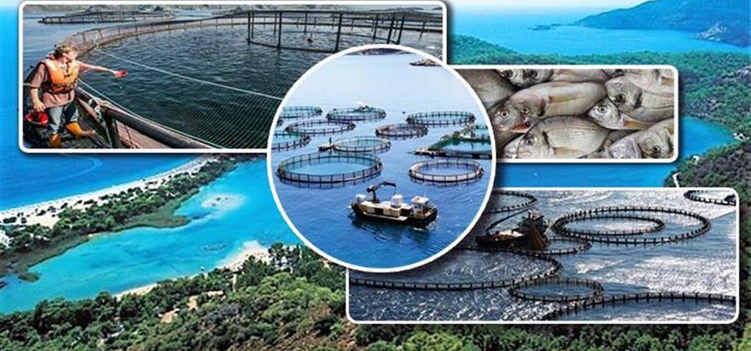 SU ÜRÜNLERİ YETİŞTİRİCİLERİMİZİN DİKKATİNE!